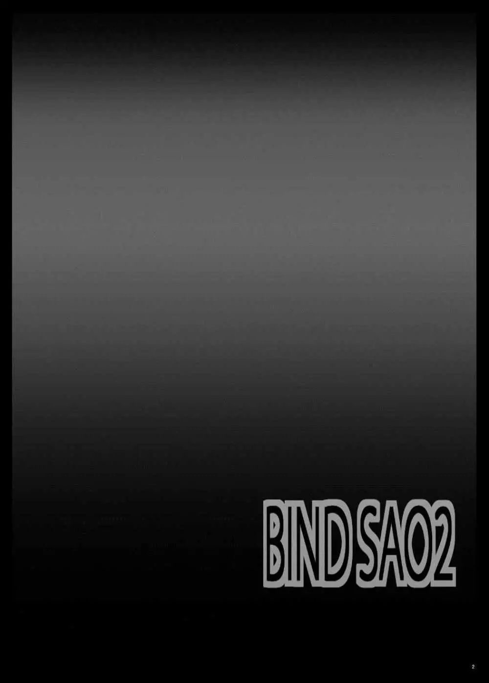 Bind SAO 2 3ページ