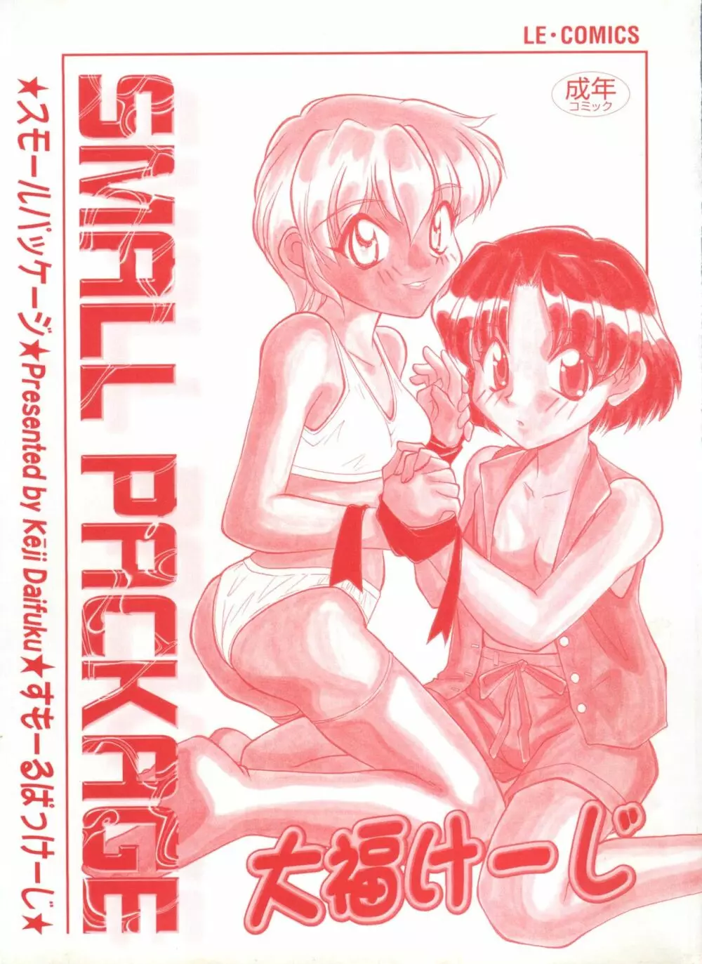 SMALL PACKAGE 4ページ