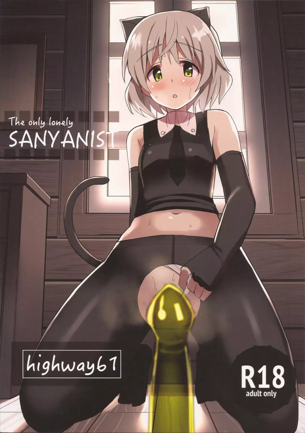 The only lonely SANYANIST 18ページ