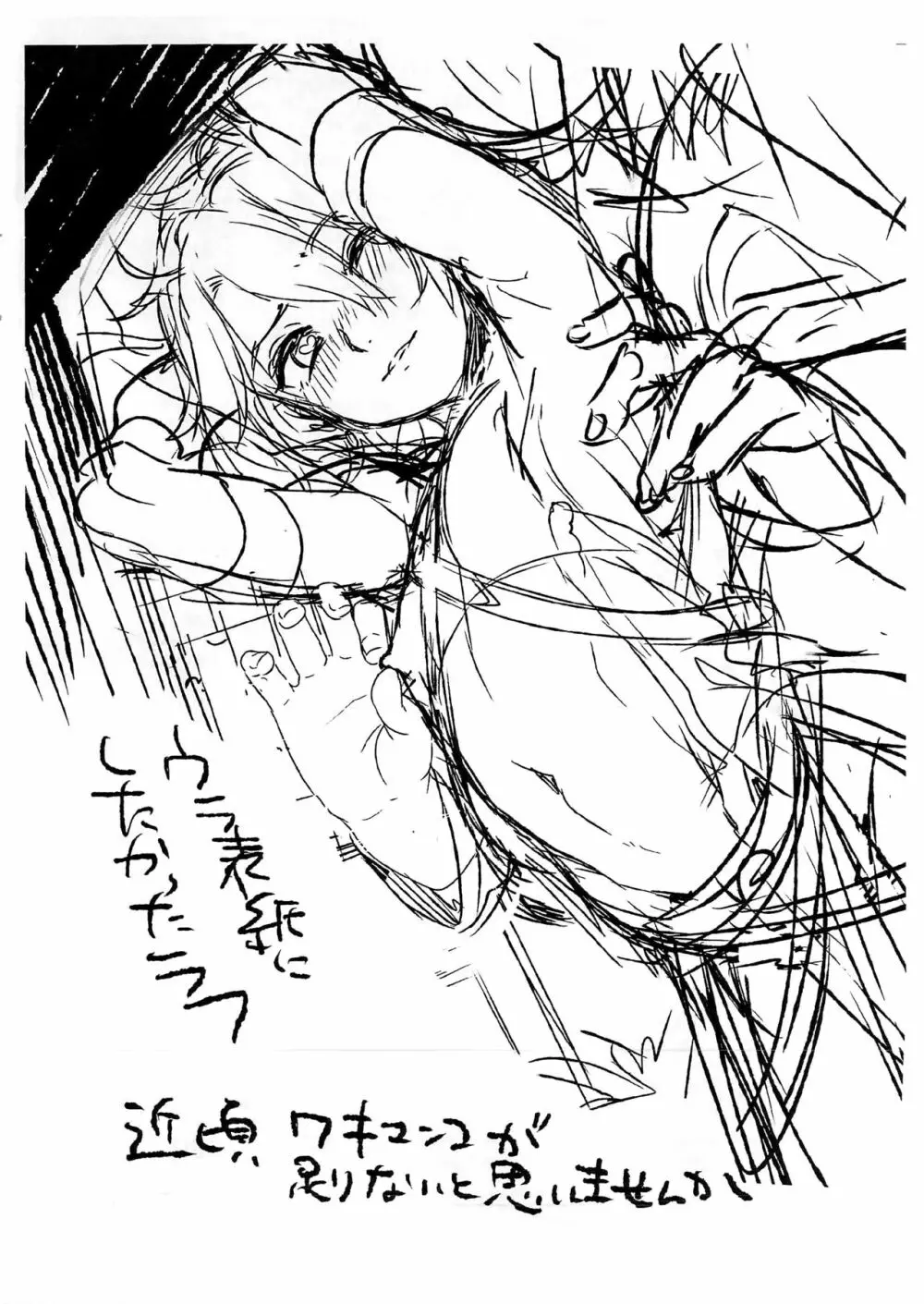 Fate/DT♂rder course：Alexander 36ページ
