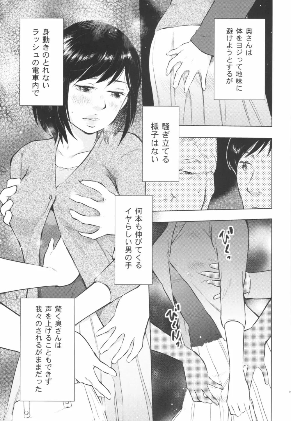 人妻図鑑3 49ページ