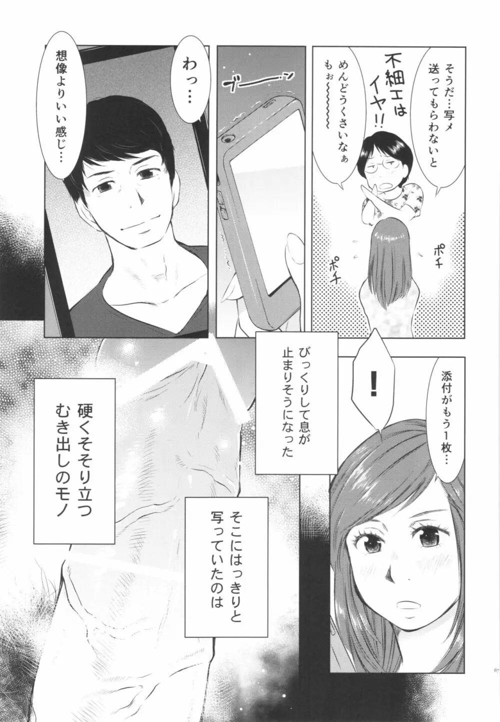 人妻図鑑3 67ページ