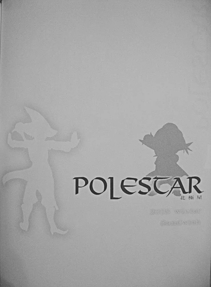 Polestar 2ページ