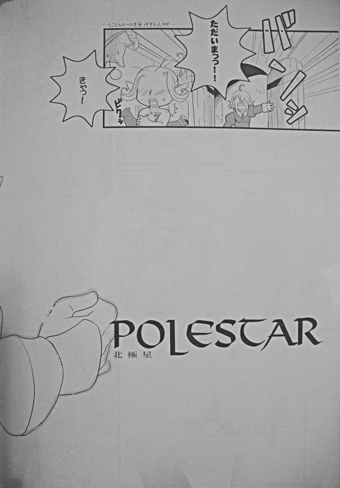 Polestar 4ページ