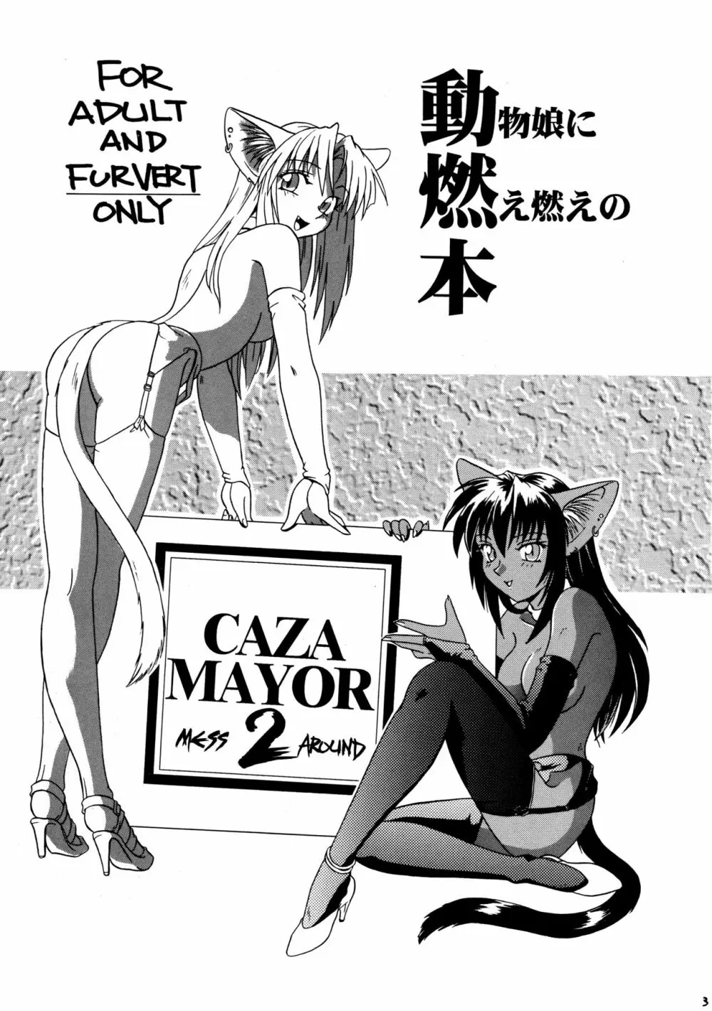 CAZA MAYOR 2 3ページ