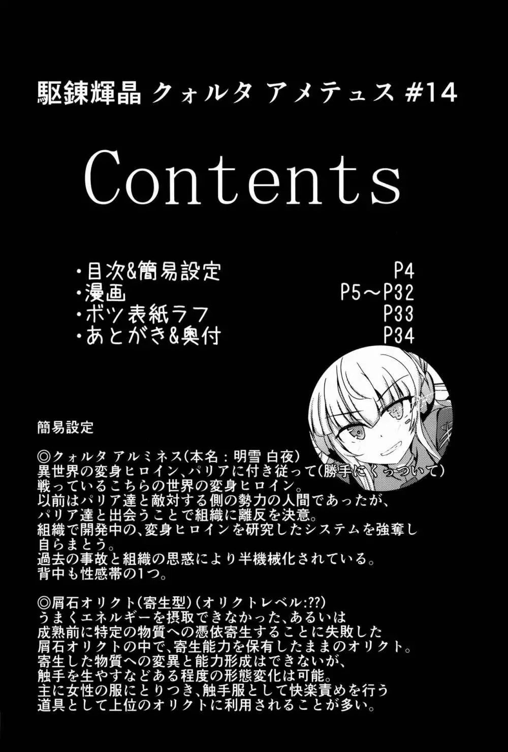 駆錬輝晶 クォルタ アメテュス #14 4ページ
