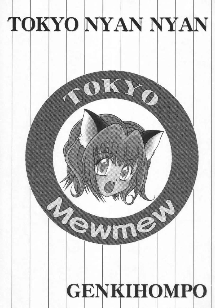 Tokyo Nyan nyan 2ページ