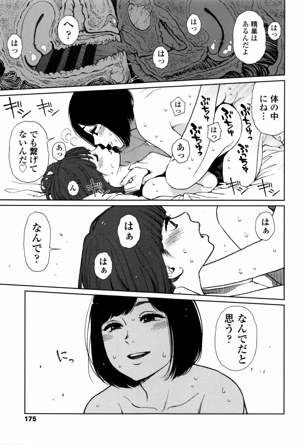 Implicity + 6P小冊子 171ページ