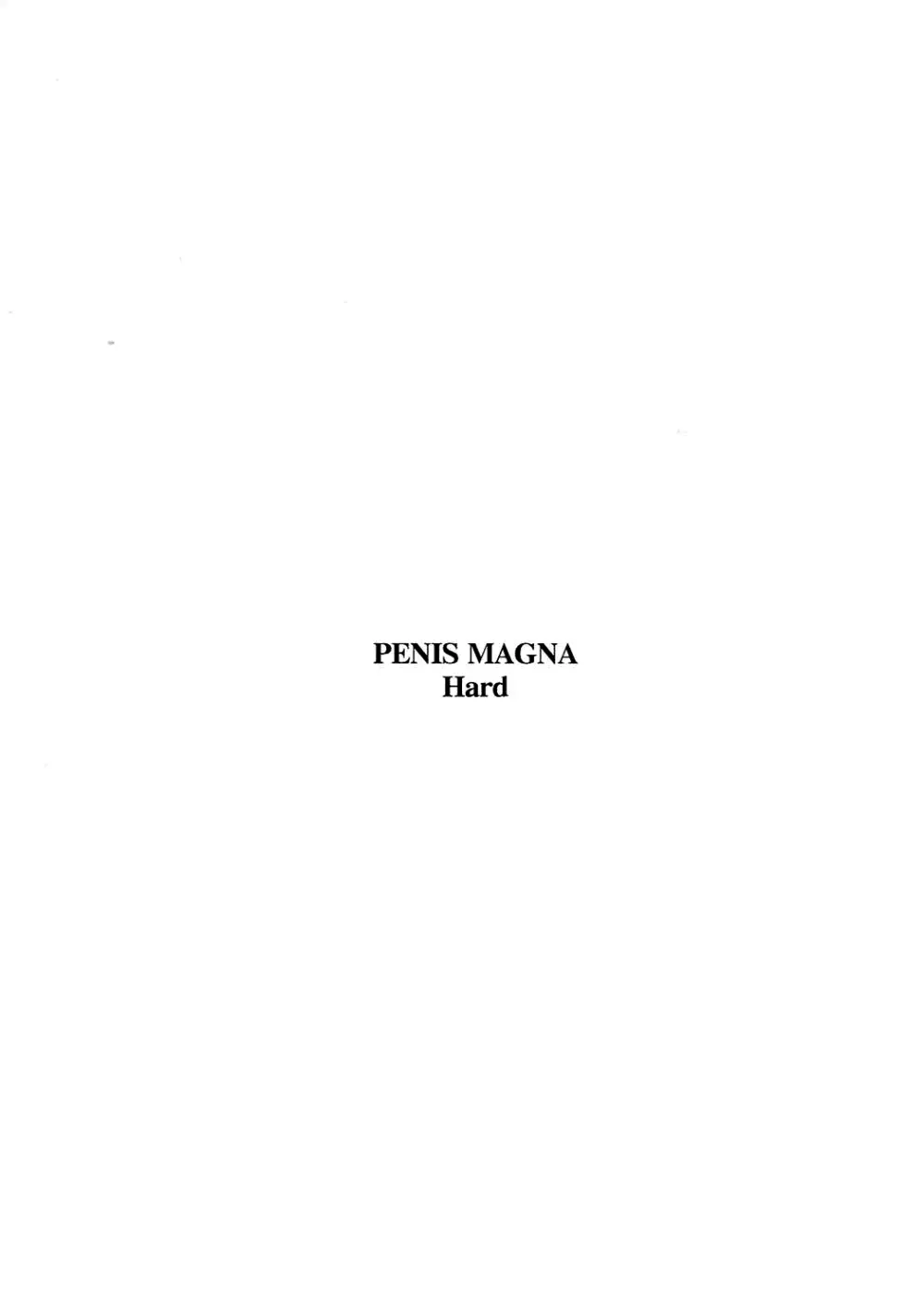 PENIS Magna Hard 11ページ