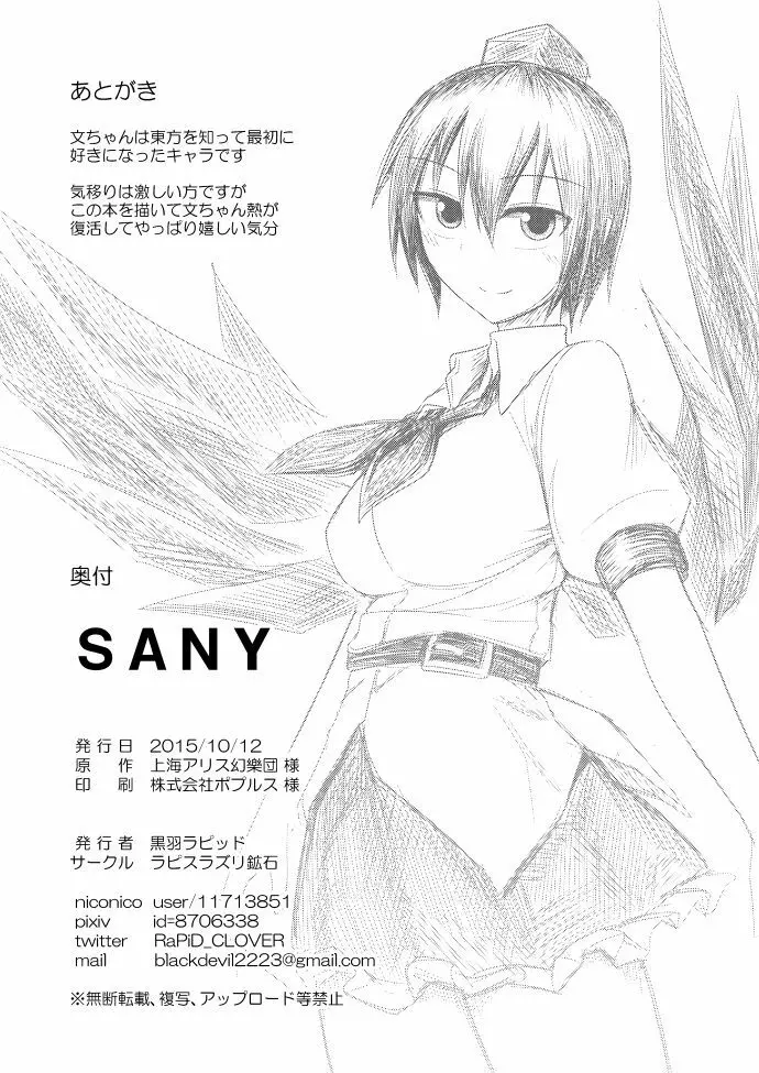 SANY 33ページ