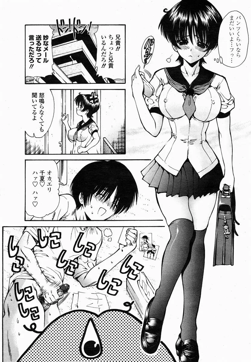 COMIC 桃姫 2005年2月号 242ページ