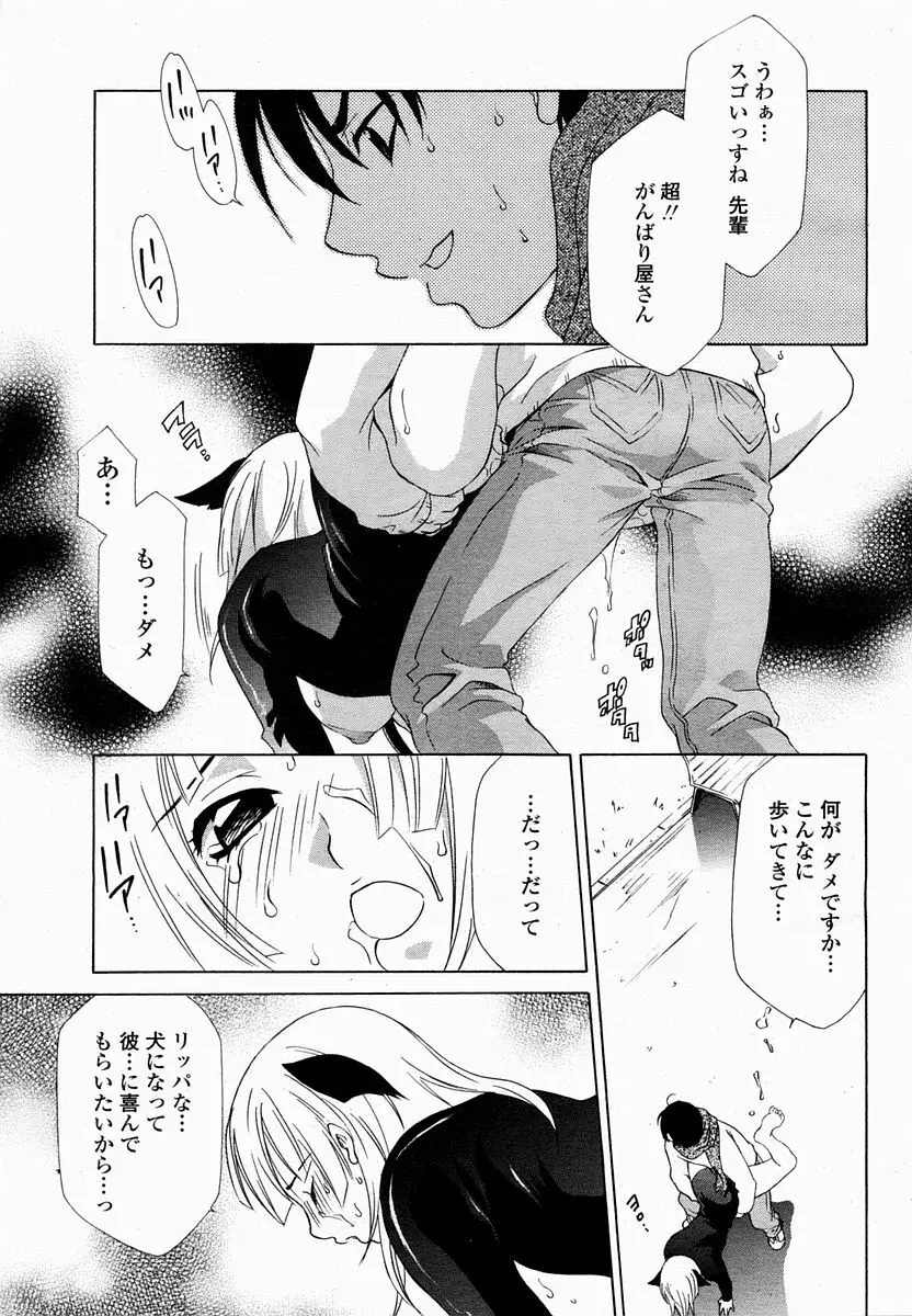 COMIC 桃姫 2005年2月号 396ページ