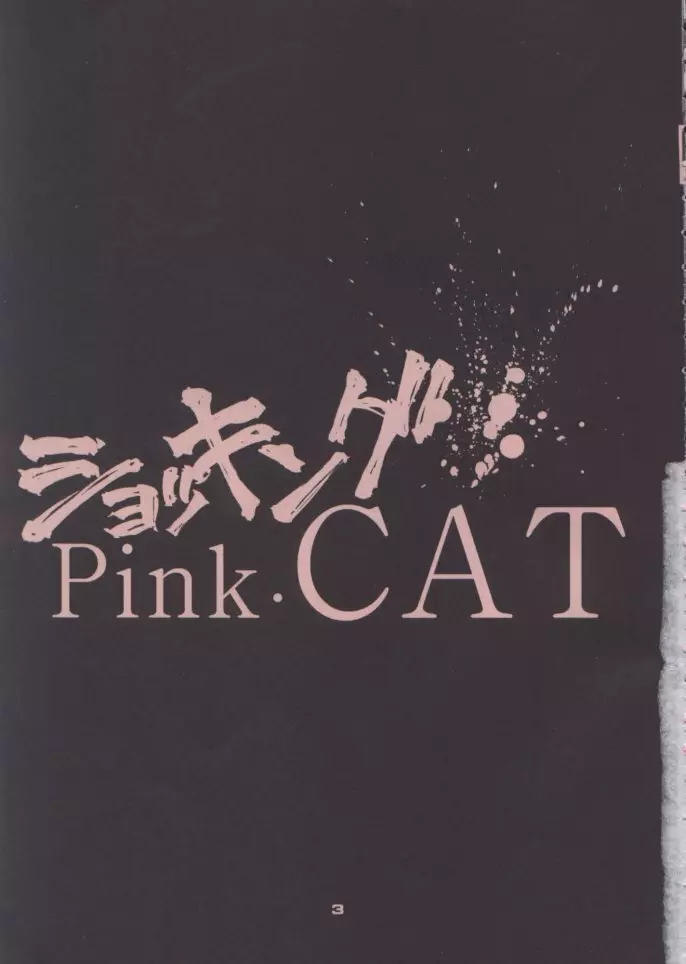 ショッキングPINK・CAT 3ページ