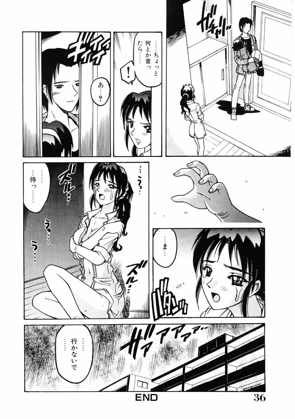 調教淫獣図鑑 35ページ