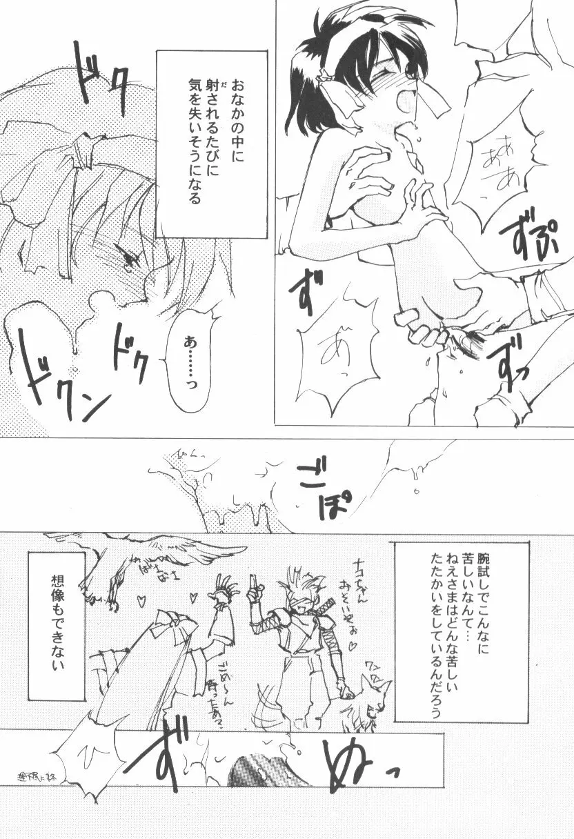 ゲーム美姫 Vol.6 25ページ