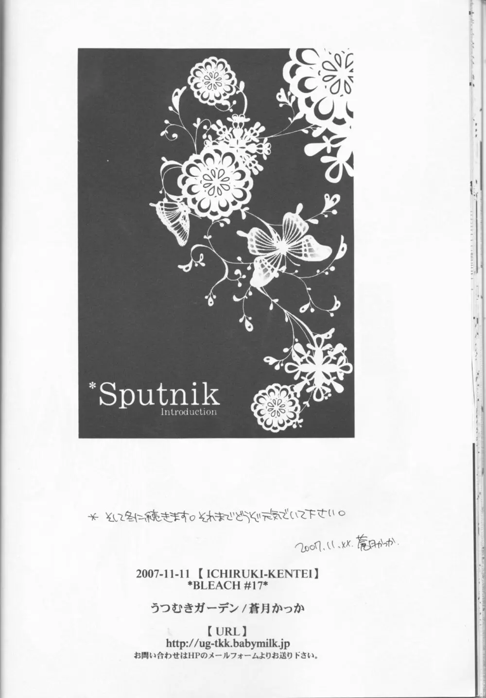Sputnik Introduction 22ページ