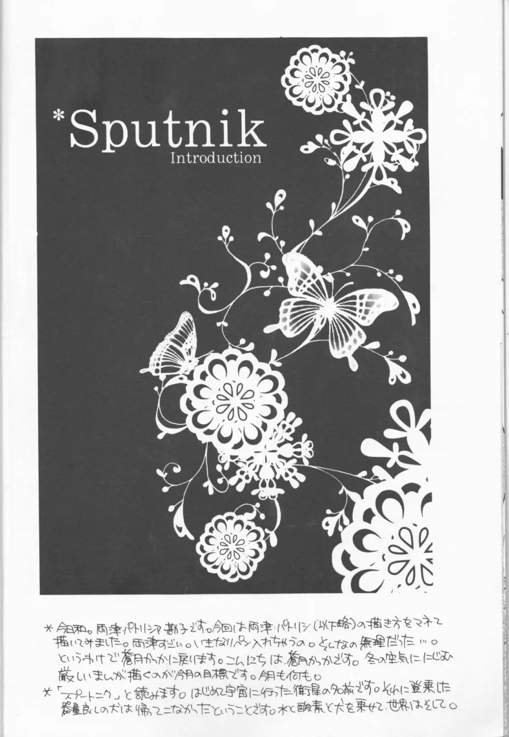 Sputnik Introduction 8ページ