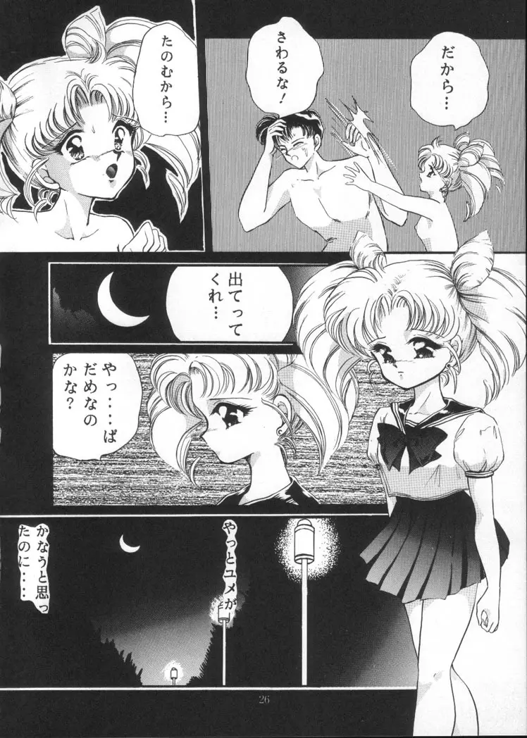 月夜のたわむれ Vol.4 24ページ
