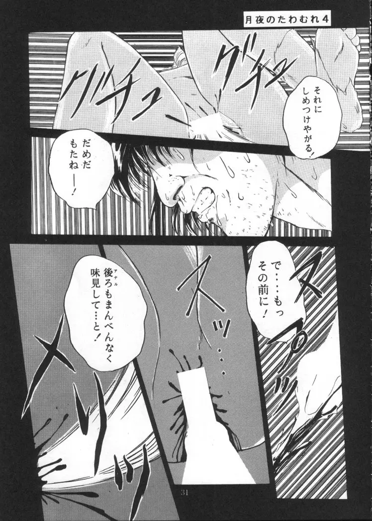 月夜のたわむれ Vol.4 29ページ