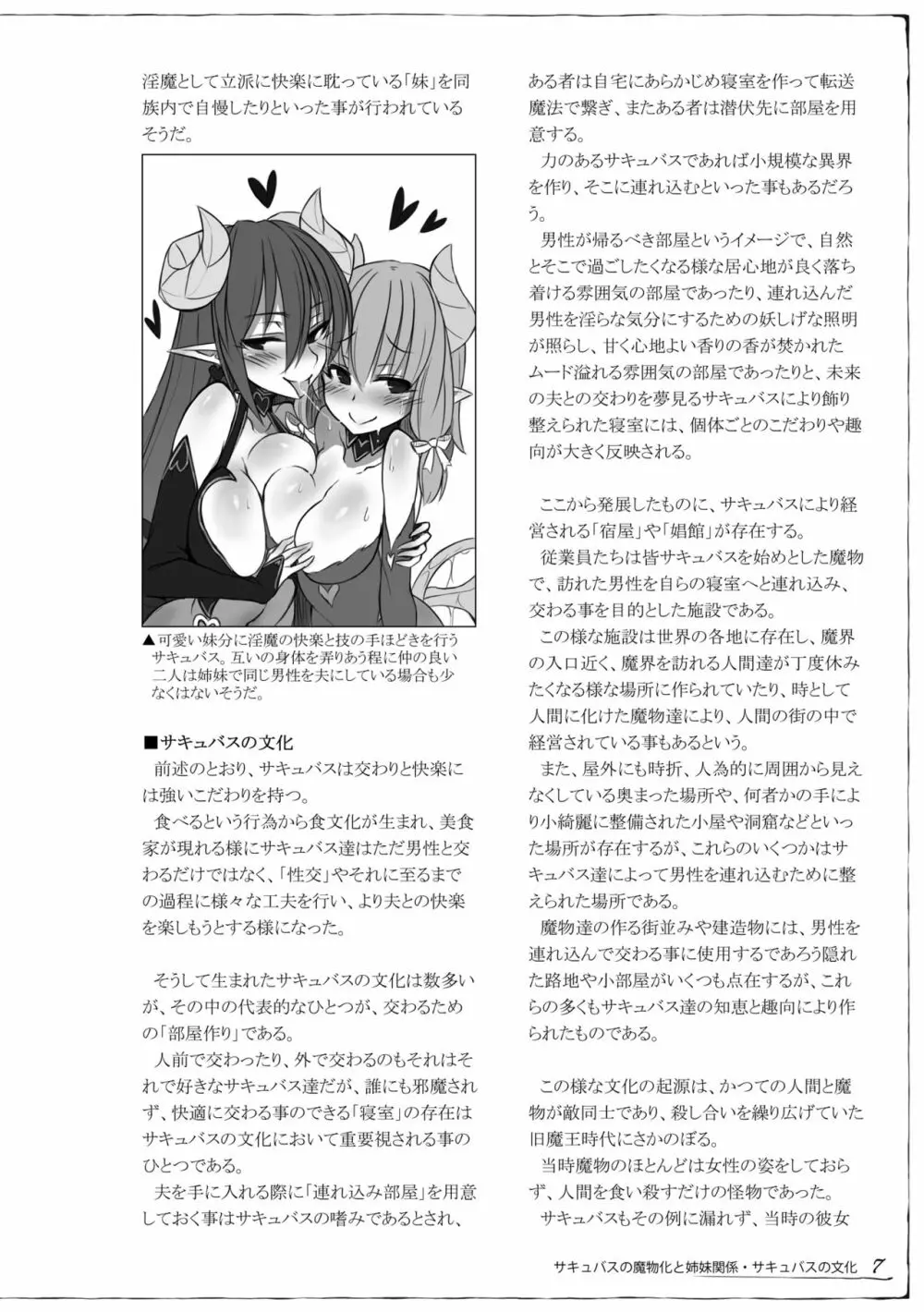 魔物娘図鑑 調査記録 サキュバス・ノート 8ページ