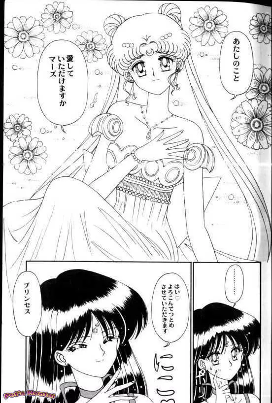 アニパロ美姫7 10ページ