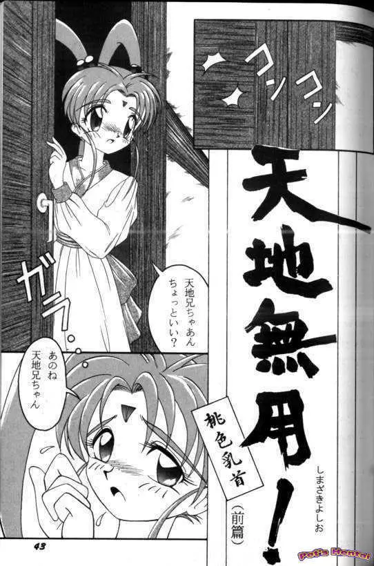 アニパロ美姫7 44ページ
