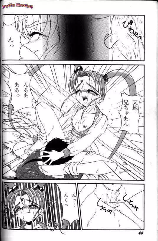 アニパロ美姫7 47ページ