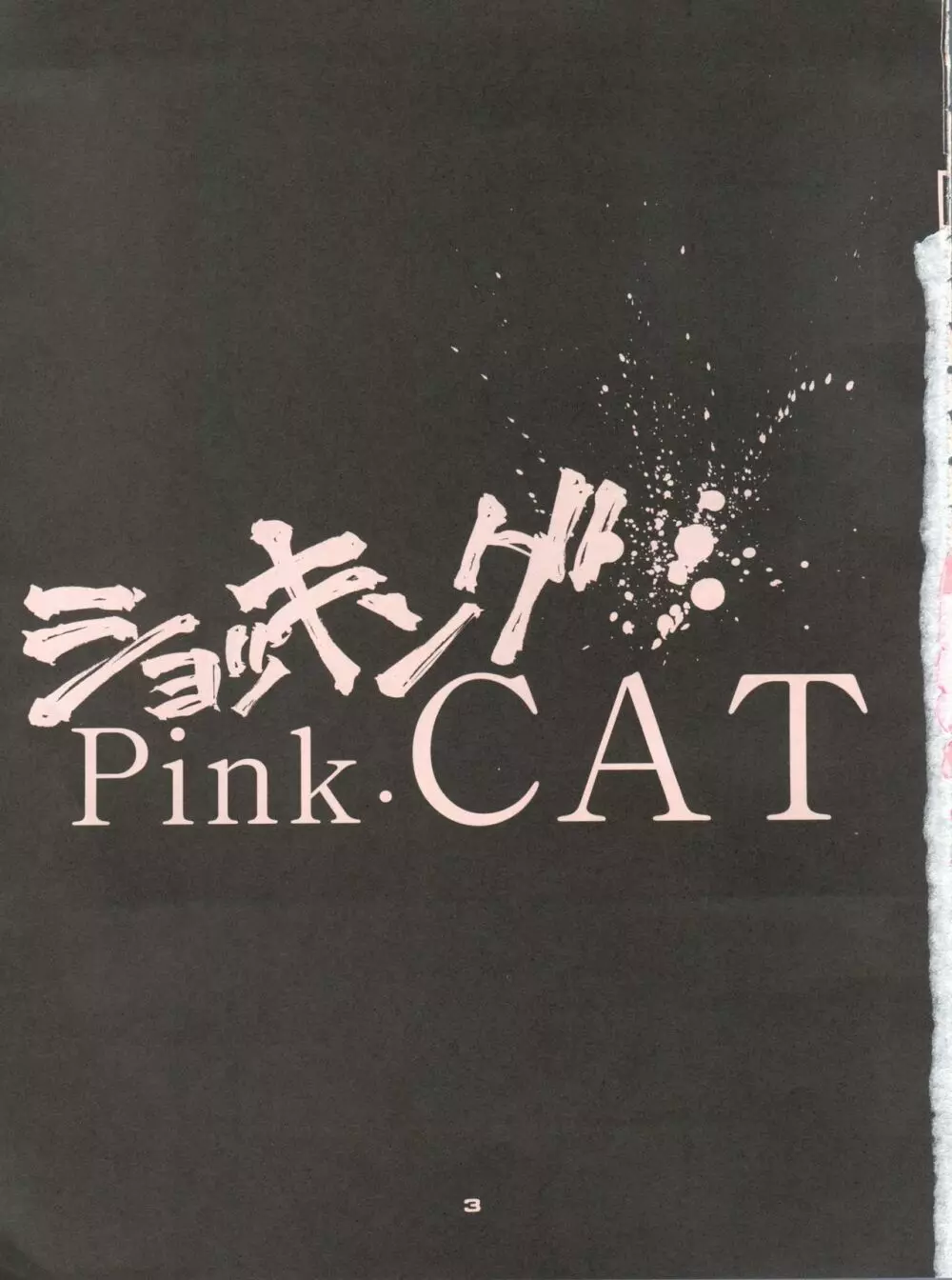 ショッキングPINK・CAT 2ページ