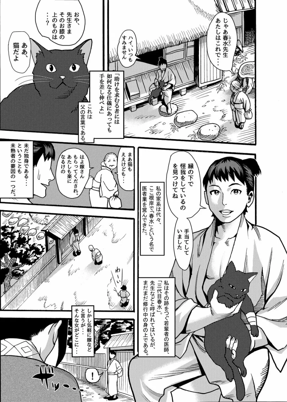 迷い猫～くのいちナガレ忍法帖～ 2ページ