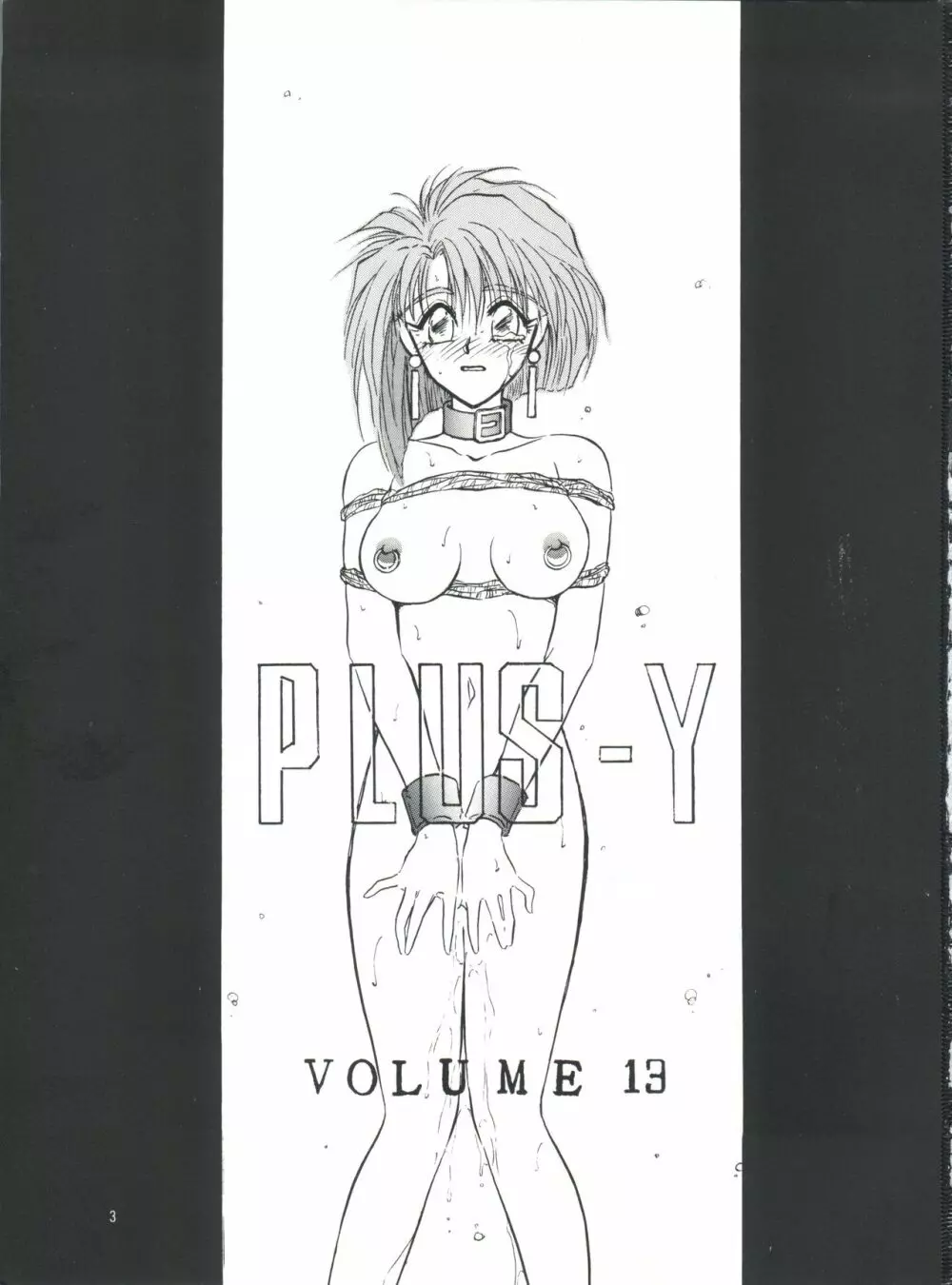 プラスY Vol.13 4ページ