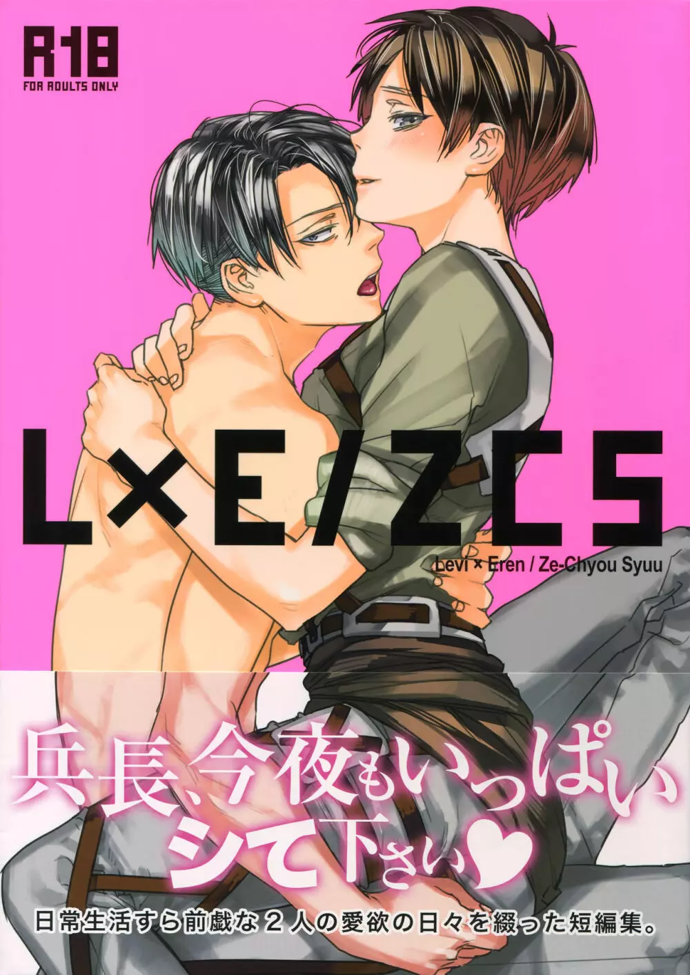 L×E/ZCS 1ページ