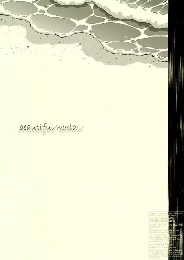 Beautiful World 2ページ