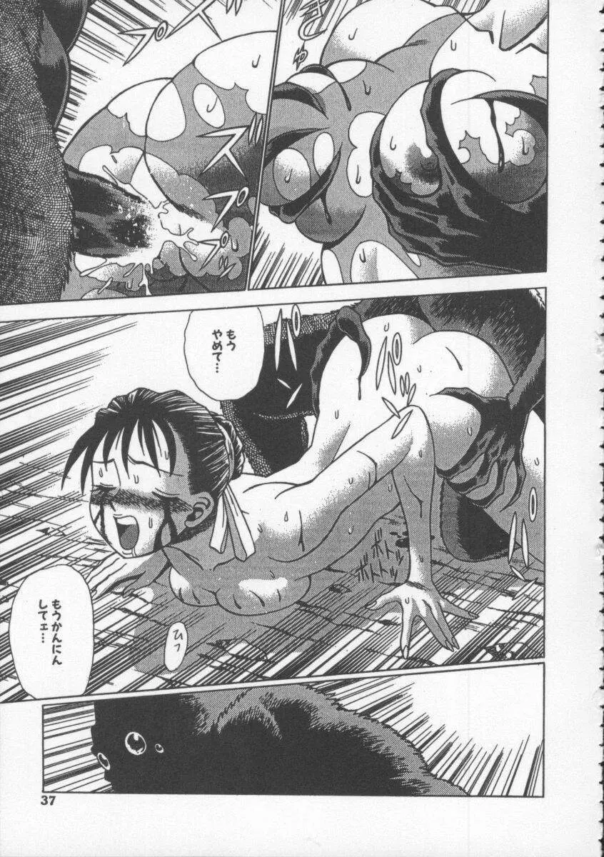 Dennou Butou Musume Vol 4 38ページ