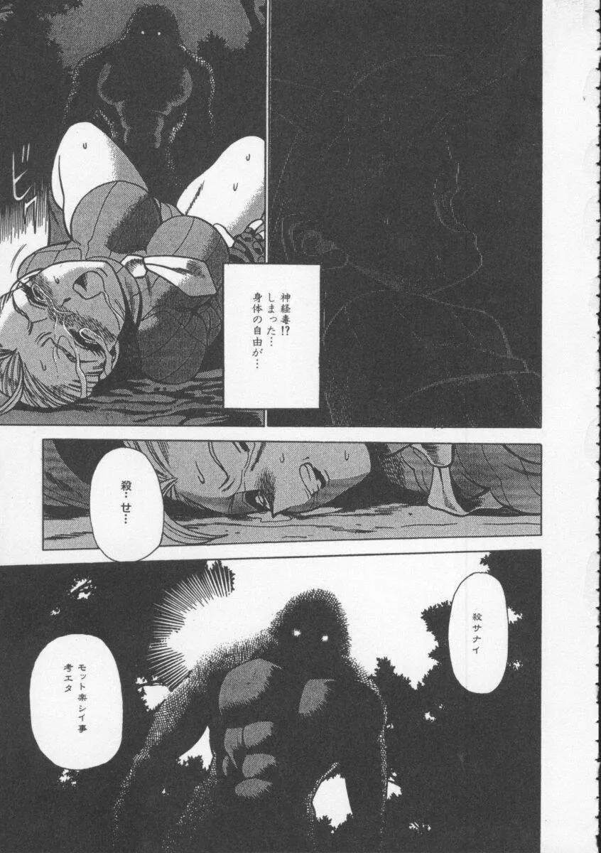 Dennou Butou Musume Vol 4 42ページ