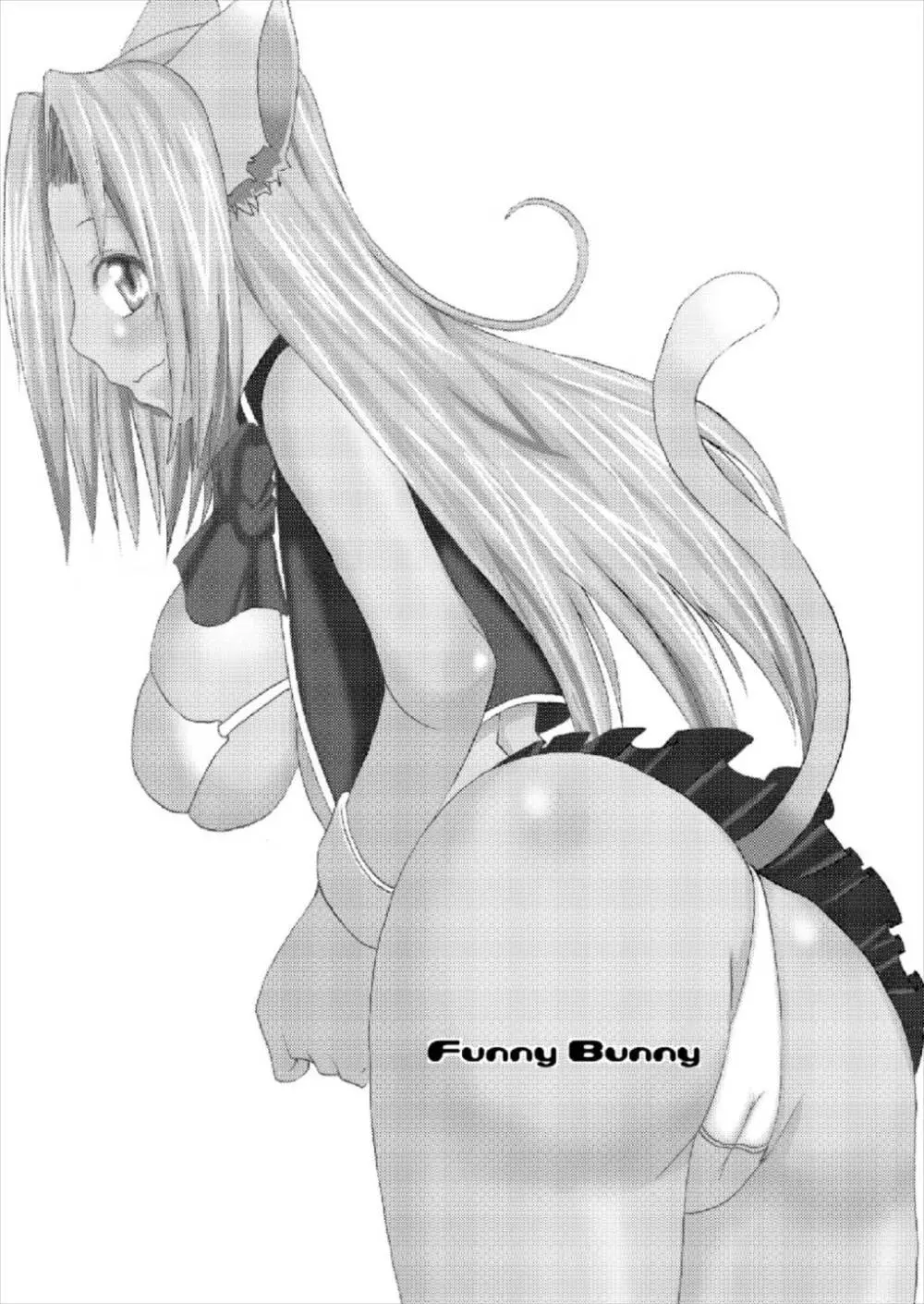 Funny Bunny 3ページ