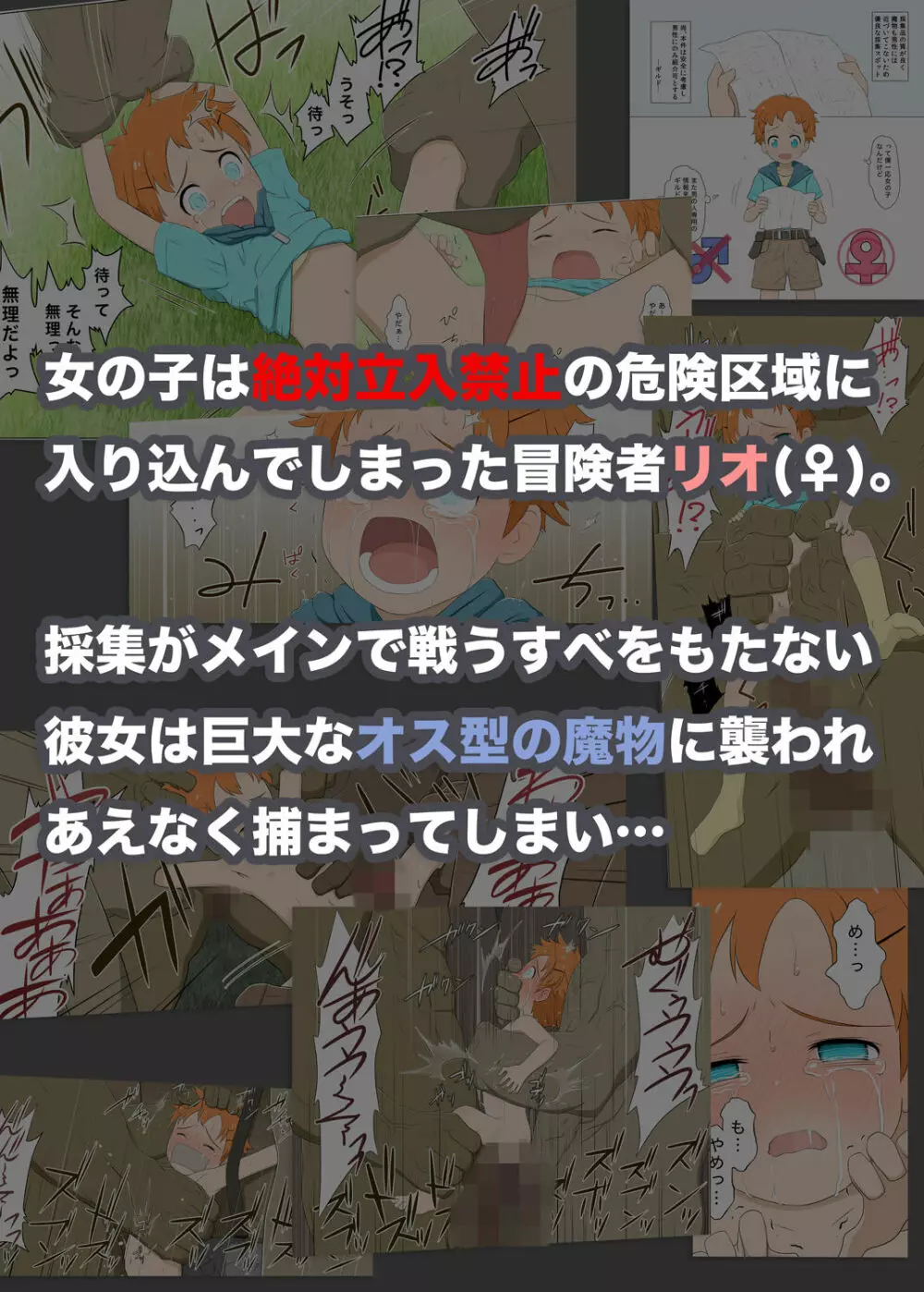 ボーイッシュ冒険者VS女の子立ち入り禁止エリア 44ページ