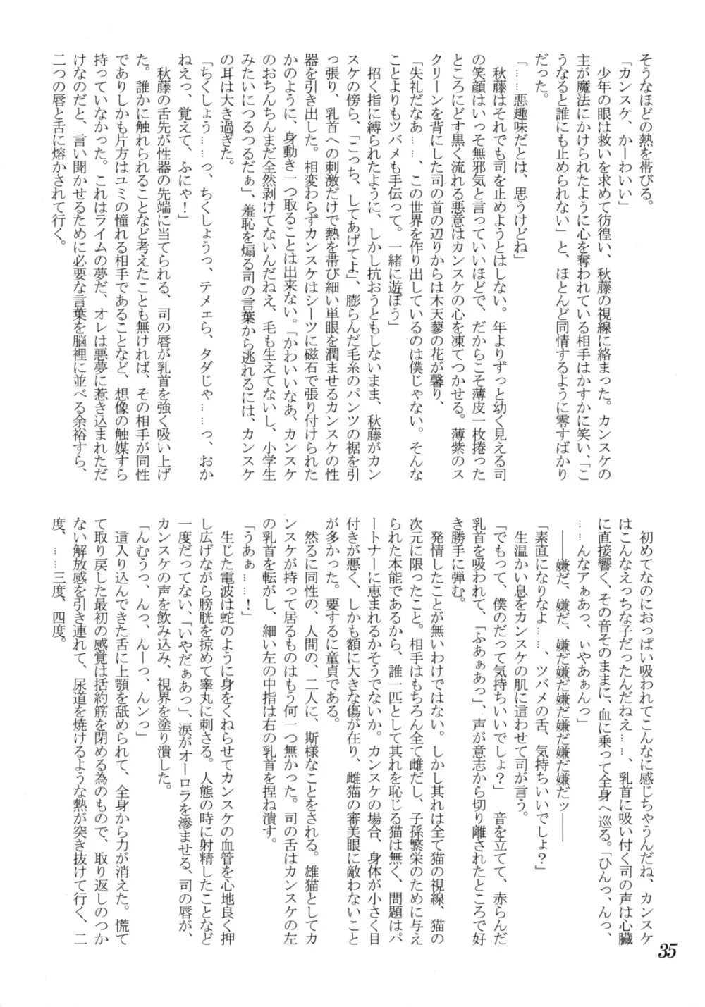 好色少年海賊版2 抜天! 34ページ