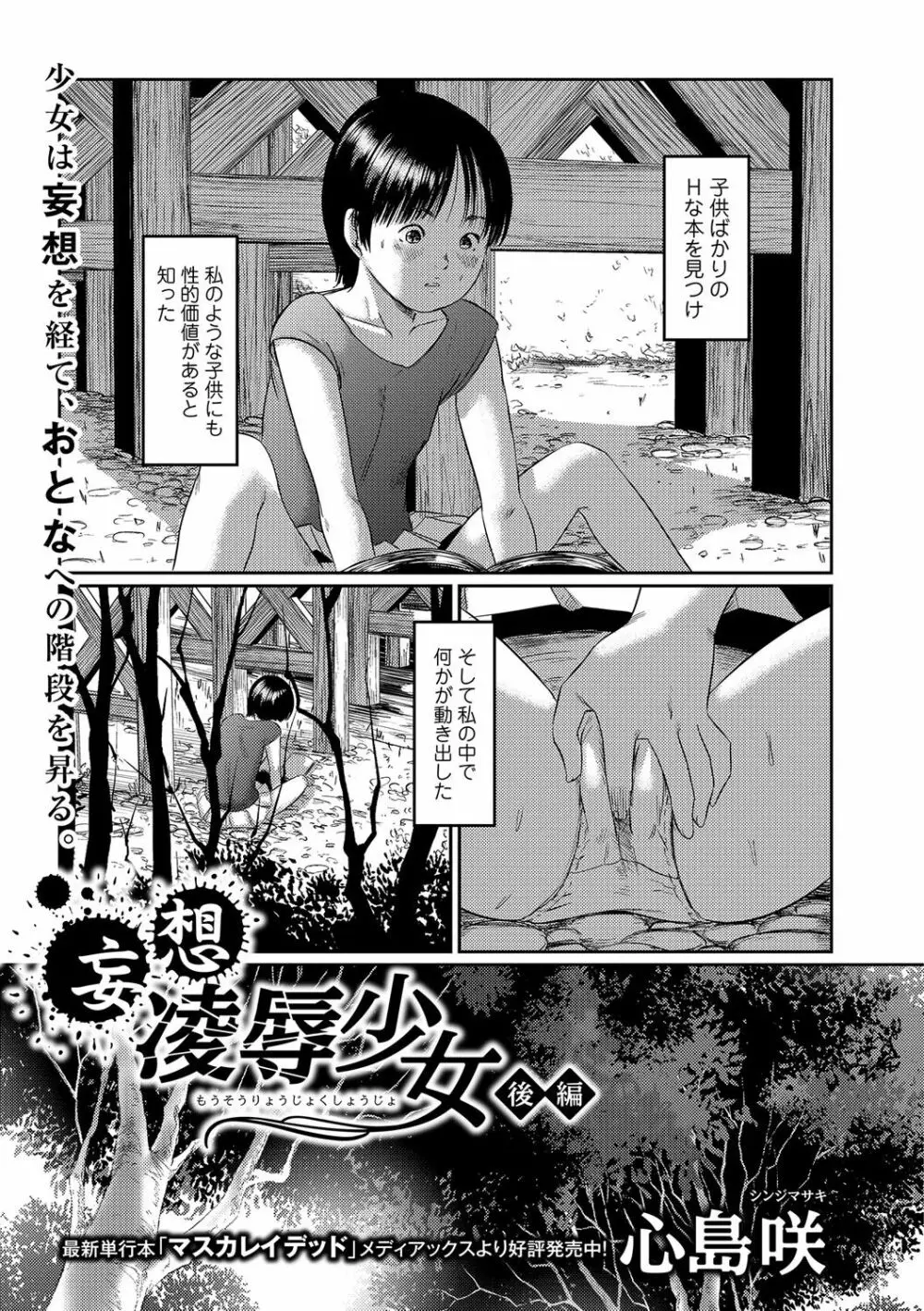 妄想凌辱少女 17ページ
