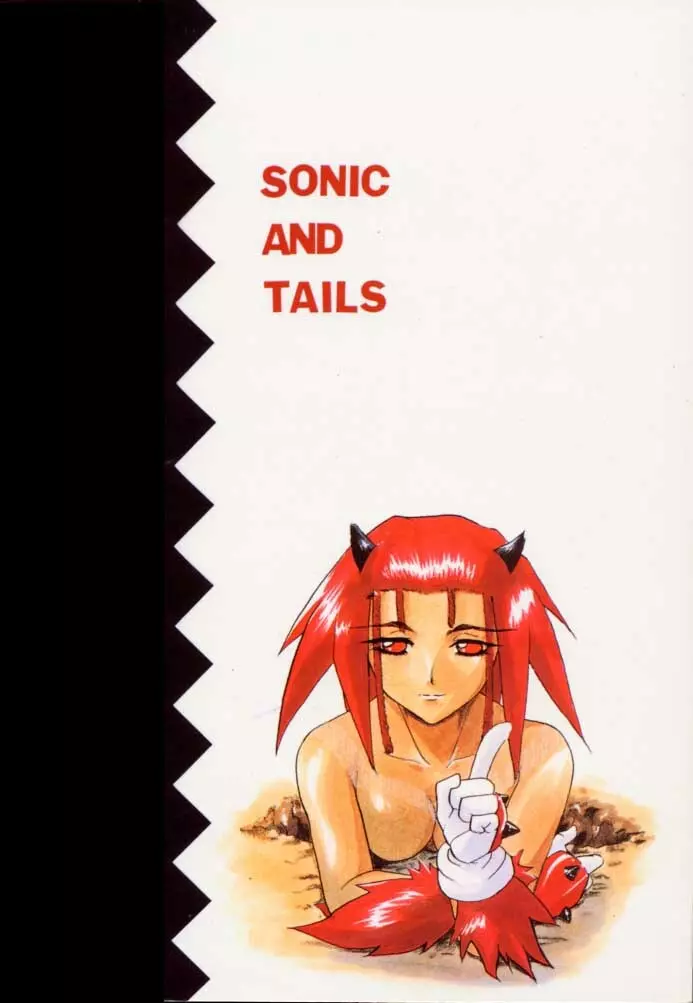 Sonic & Tails 70ページ