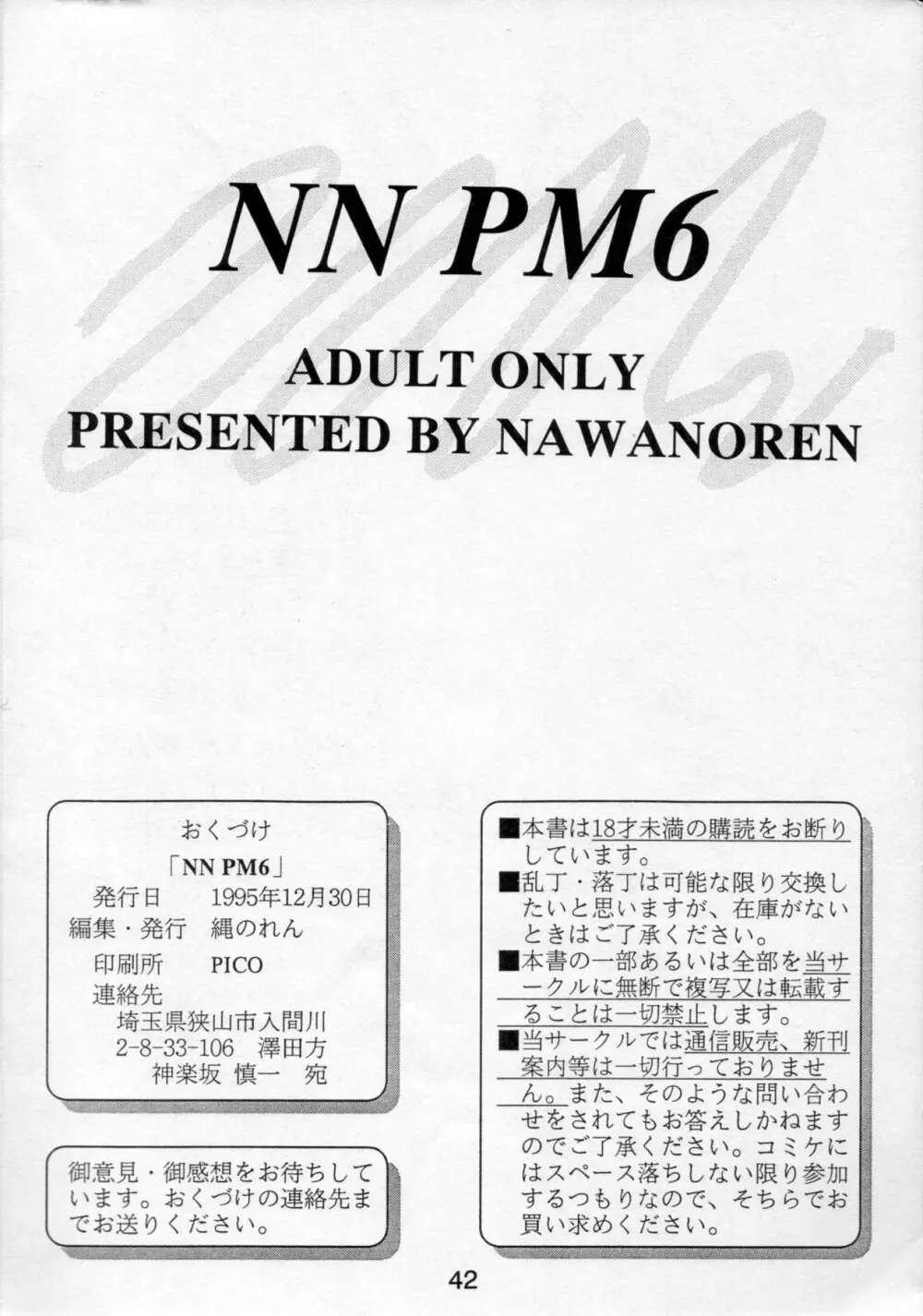 NN PM6 41ページ