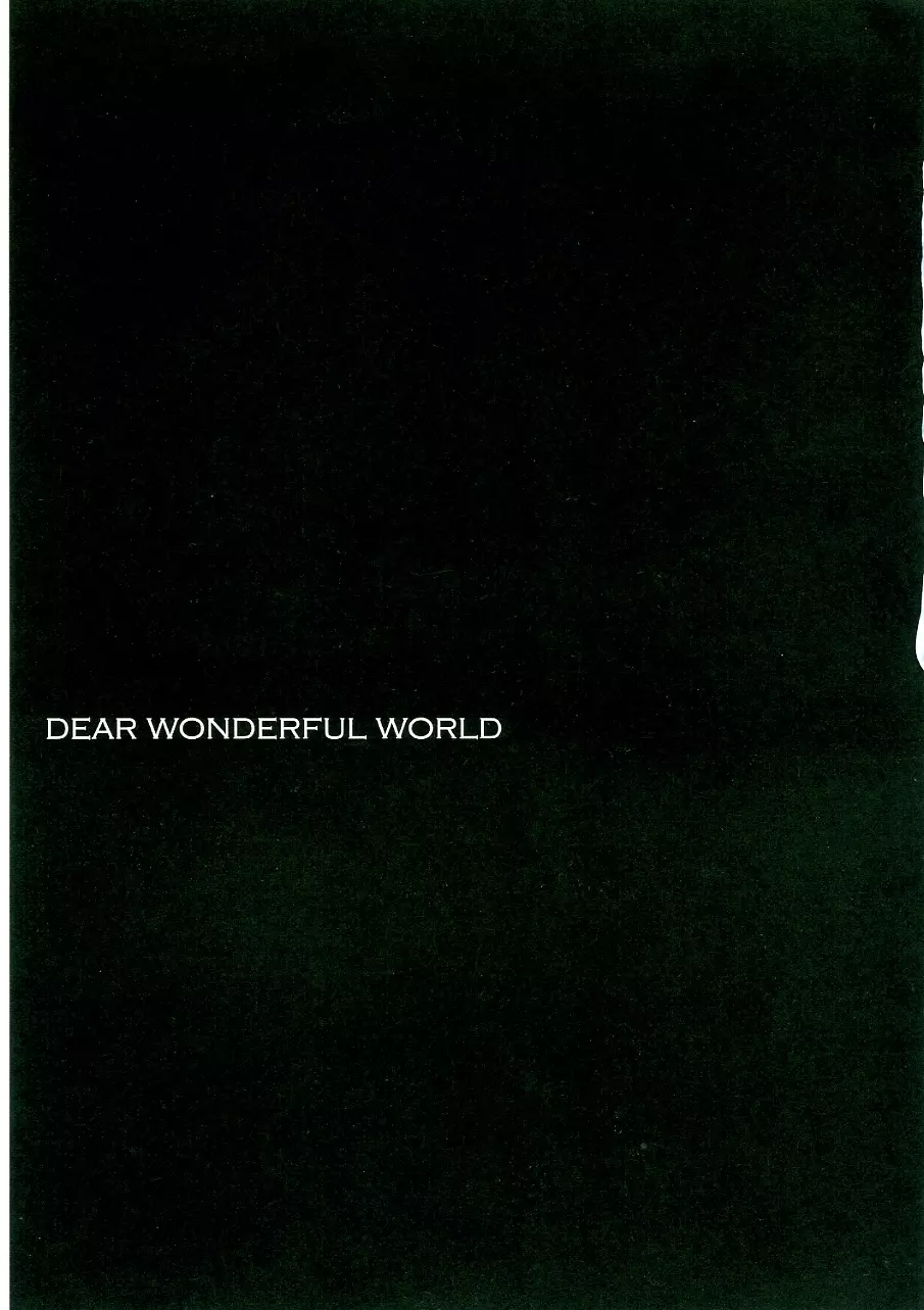 DEAR WONDERFUL WORLD 3ページ