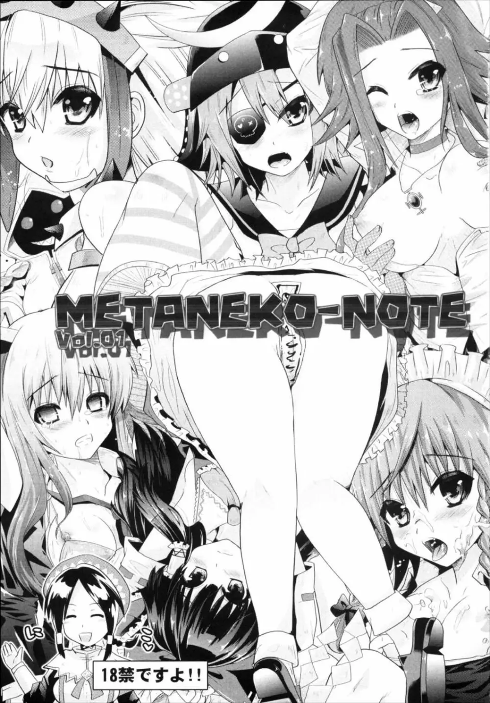 METANEKO NOTE 1-10+ 3ページ