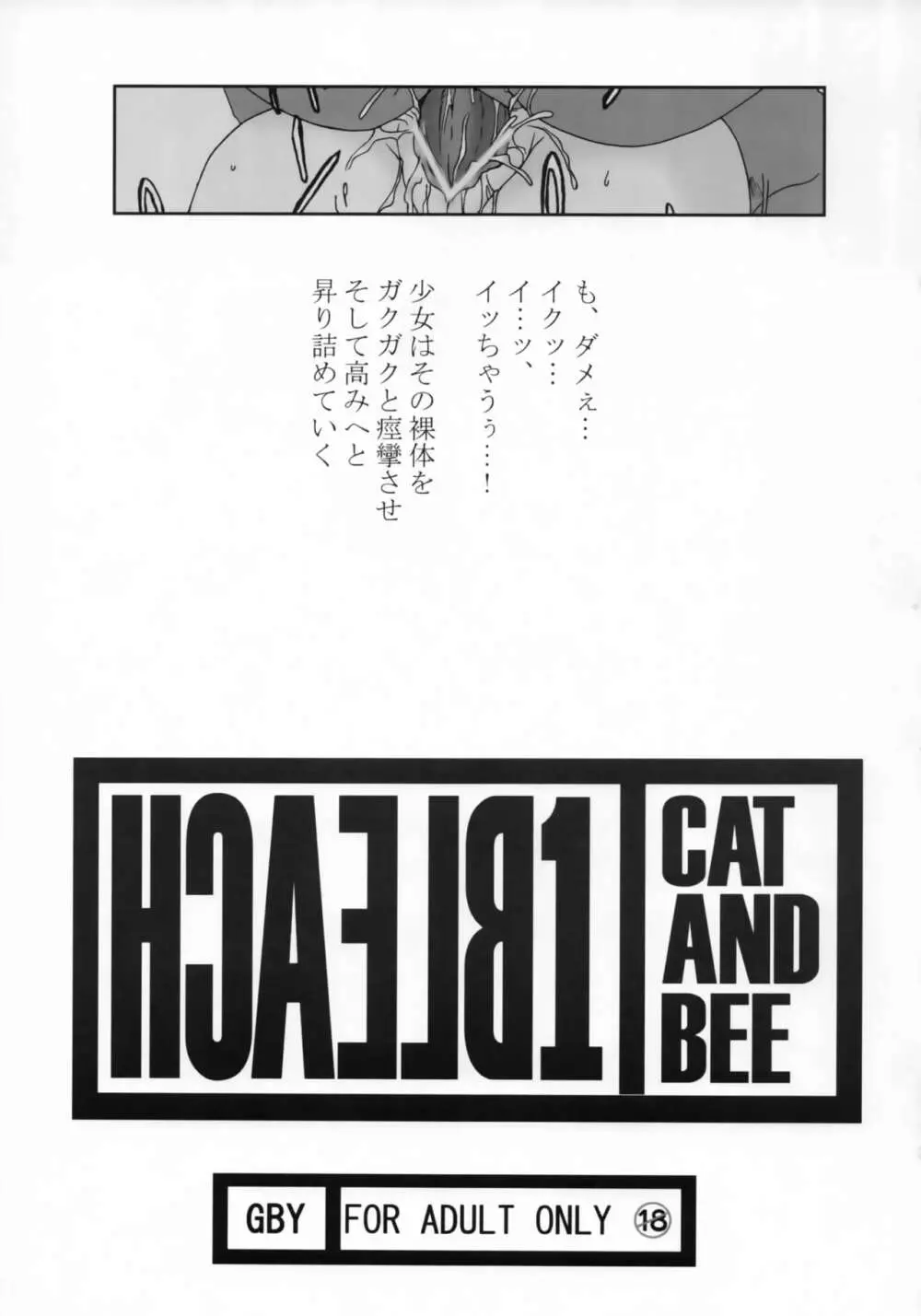 HCAELB -裏ブリーチ- 2ページ