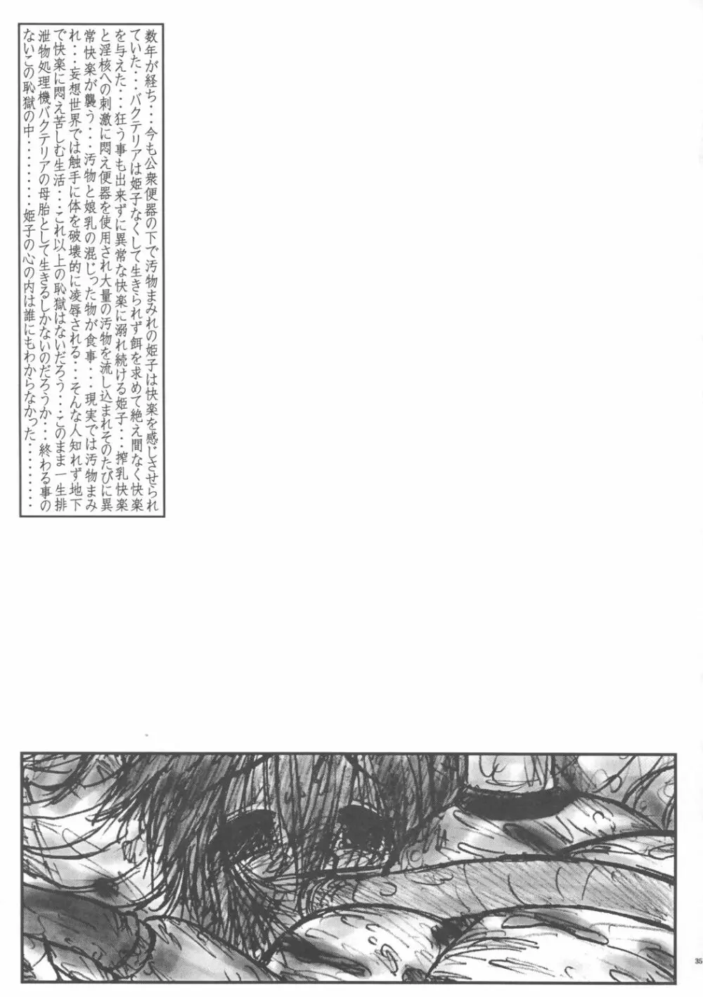 姫ぷち 34ページ