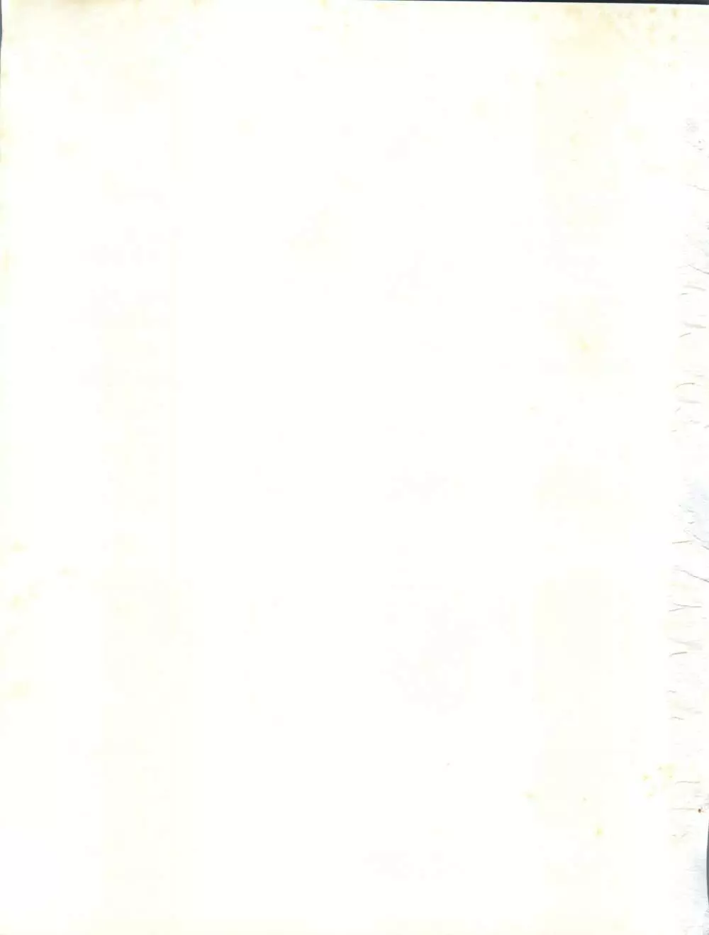 (C54) [オレンジ・ギャラリー編集部 (坂田金時)] ESSE(エセ) ORANNGE GALLERY (きまぐれオレンジ☆ロード、らんま1/2) 59ページ