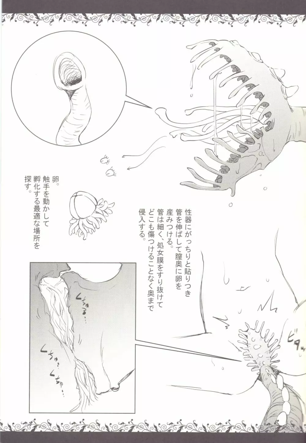 触手図鑑 5ページ