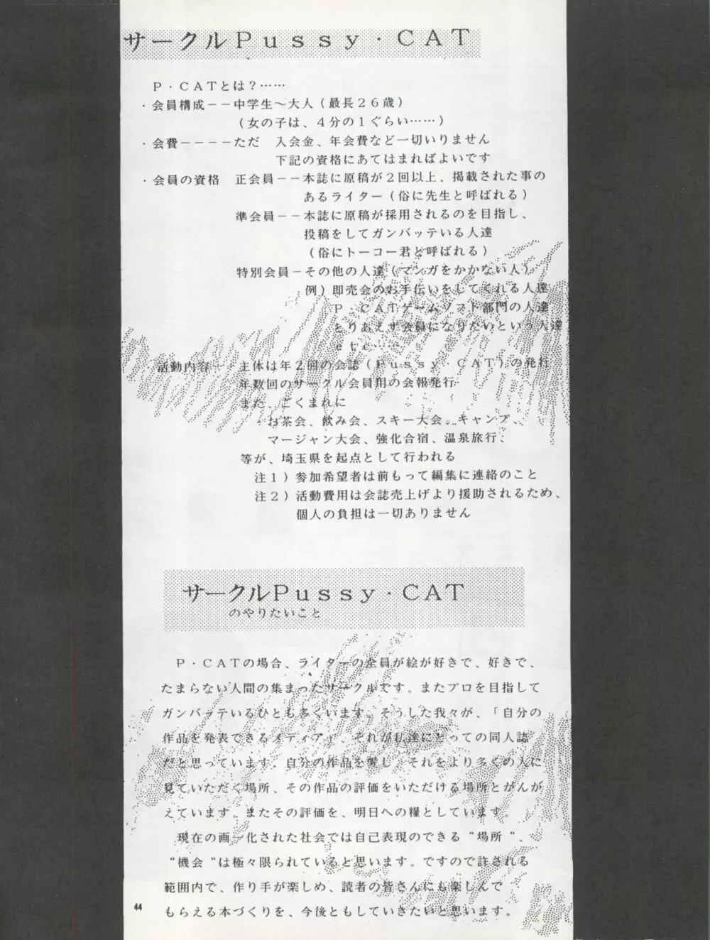 Pussy・CAT Vol.22 パイちゃん本 2 44ページ