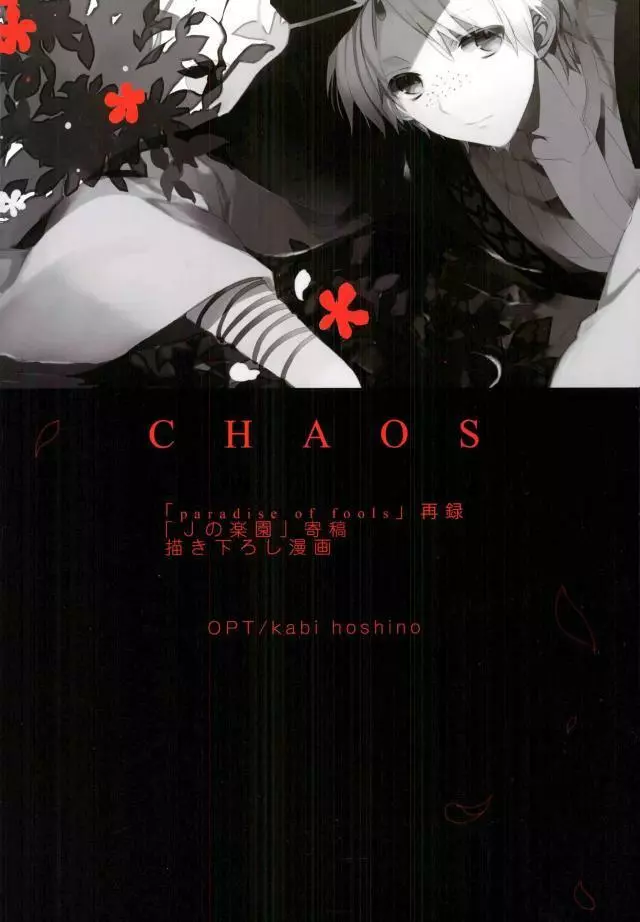 Chaos 45ページ