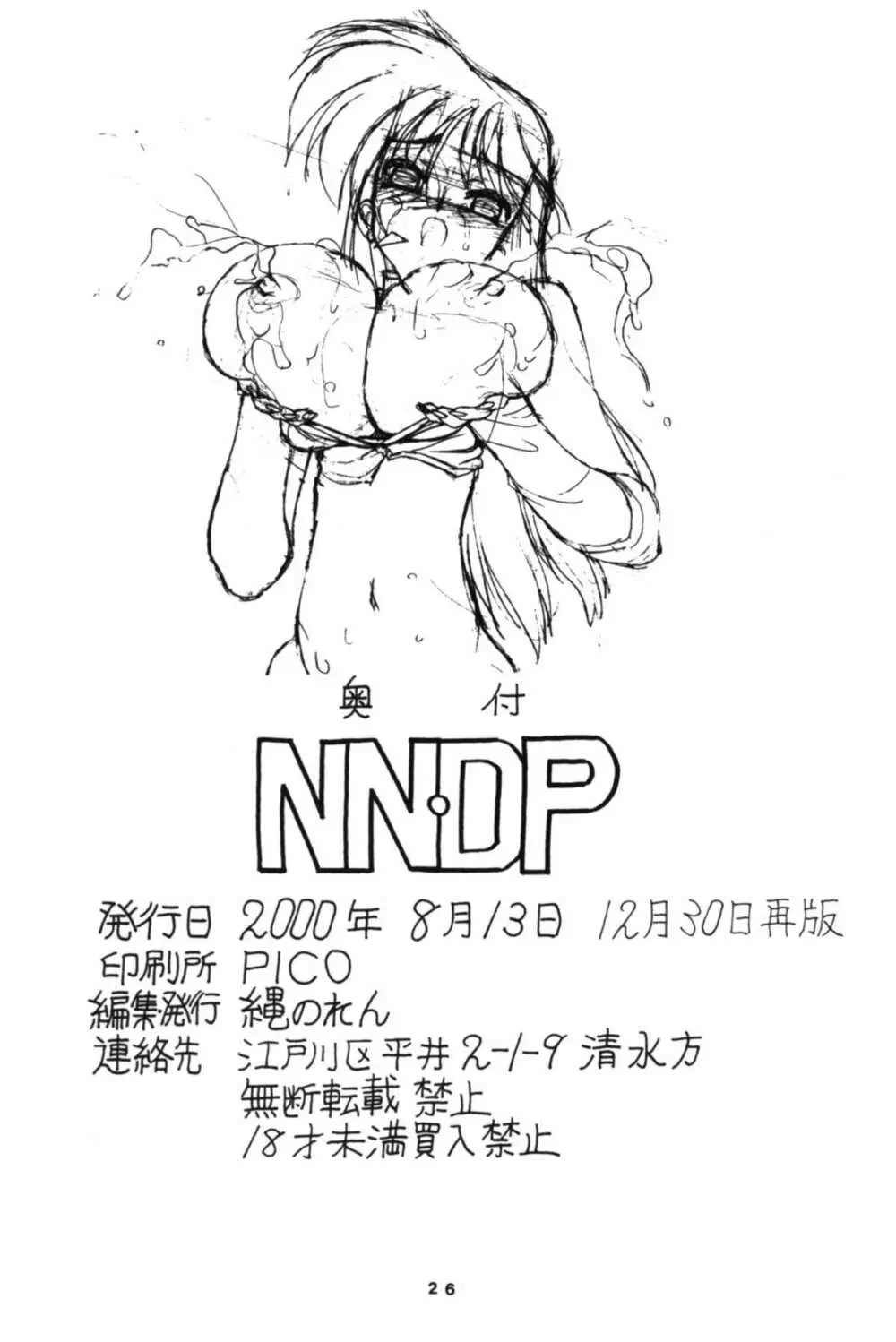 NNDP 26ページ