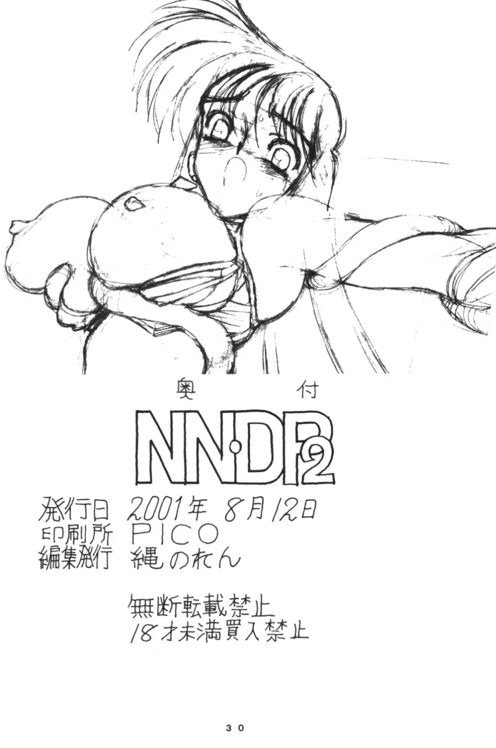 NNDP 2 30ページ